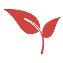 nature-icon